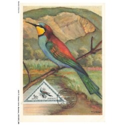 AUXP1-0045-OISEAUX-CARTE-MAXIMUM - BIENENFRESSER - GUEPIER - GRUCCIONE
