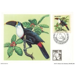 AUXP1-0050-OISEAUX-CARTE-MAXIMUM - TUCANO-DE-PEITO BRANCO