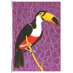 AQFP16-1100-OISEAU - perroquet