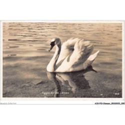 AJGP10-0888 - OISEAUX - CYGNES DU LAC LEMAN