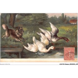 AJGP10-0913 - OISEAUX - CHIEN ET CYGNES