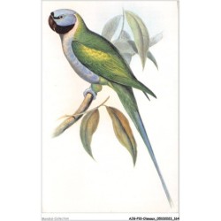 AJGP10-0925 - OISEAUX - PALAEORNIS DERBIANUS