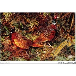 AJGP11-0964 - OISEAUX - BONNE ANNEE