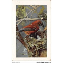 AJGP10-0940 - OISEAUX