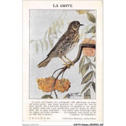 AJGP11-0946 - OISEAUX - LA GRIVE