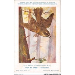 AJGP10-0931 - OISEAUX - PIPIT DES ARBES