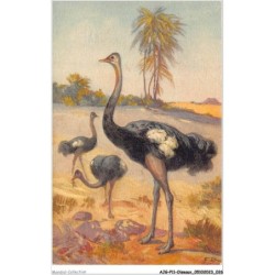 AJGP11-0958 - OISEAUX - UNE AUTRUCHE