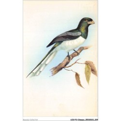 AJGP11-0947 - OISEAUX - TROGON GIGAS