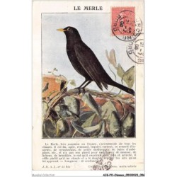 AJGP11-0973 - OISEAUX - LE MERLE