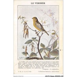 AJGP11-0972 - OISEAUX - LE VERDIER