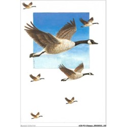 AJGP11-1009 - OISEAUX - OISEAUX DANS LE CIEL