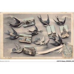 AJGP11-1007 - OISEAUX - OISEAUX MESSAGER