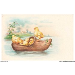 AVWP14-0834-ANIMAUX - Des poussins