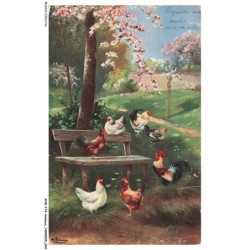 AVWP14-0793-ANIMAUX - Poulets