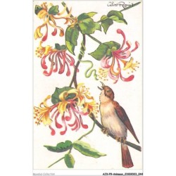AJXP9-0910 - ANIMAUX - CHEVREFEUILLE - ROSSIGNOL