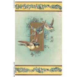 AOAP7-0527-ANIMAUX - oiseau
