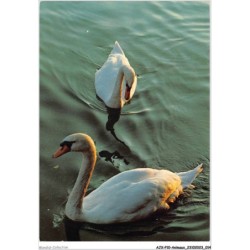 AJXP10-0981 - ANIMAUX - Cygnes-schwane