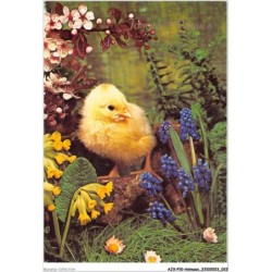 AJXP10-0985 - ANIMAUX - Joyeuses - paques