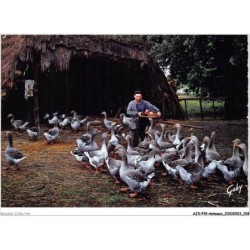 AJXP10-0983 - ANIMAUX - LE GARDEUR D'OIES ET SON TROUPEAU