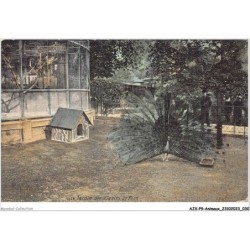 AJXP9-0903 - ANIMAUX - Jardin des Plantes - Le Paon