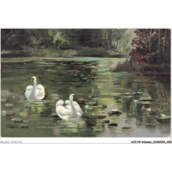 AJXP9-0906 - ANIMAUX - CANARDS