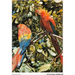 AJXP10-0975 - ANIMAUX - BRASIL TURISTICO - REGIAO AMAZONICA