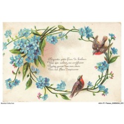AOAP7-0528-ANIMAUX - myosotis petite fleur du bonheur