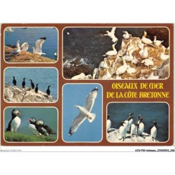 AJXP10-0982 - ANIMAUX - Oiseaux de mer de la cote bretonne