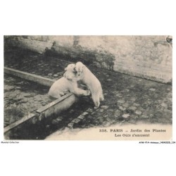 AVWP14-0848-ANIMAUX - Paris - Jardin des plantes - Les ours s'amusent