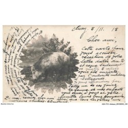 ASHP13-0864-ANIMAUX - UN COCHON