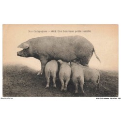 ASHP13-0810-ANIMAUX - NOS CAMPAGNES - UNE HEUREUSE PETITE FAMILLE - COCHON ET SES PETITS