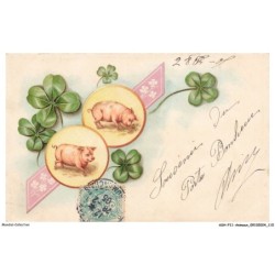 ASHP11-0716-ANIMAUX - SOUVENIR DE PORTE BONHEUR - COCHONS - FLEURS
