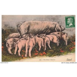 ASHP13-0809-ANIMAUX - UNE BONNE NOURRICE - COCHON ET SES PETITS