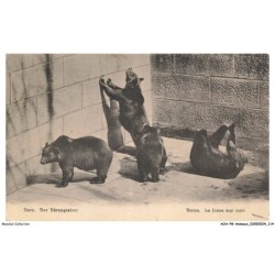 AOAP8-0624-ANIMAUX - bern - la fosse aux ours