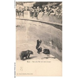 AOAP8-0616-ANIMAUX - bern - der alte mit den jungen