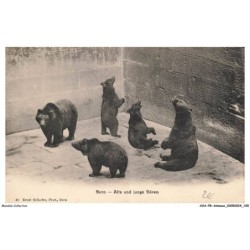 AOAP8-0617-ANIMAUX - bern - der alte mit den jungen