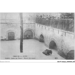 AIDP7-ANIMAUX-0589 - crue de la seine - paris - jardin des plantes - martin très ennuyé
