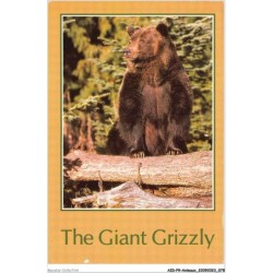 AIDP9-ANIMAUX-0844 - the giant grizzly