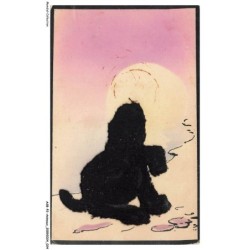 ASBP2-0077-ANIMAUX - OURS