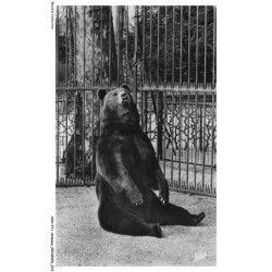 ASHP11-0668-ANIMAUX - LYON - LE PARC DE LA TETE D'OR - L'OURS