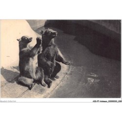 AIDP7-ANIMAUX-0603 - parc zoologique du bois de vincennes - paris