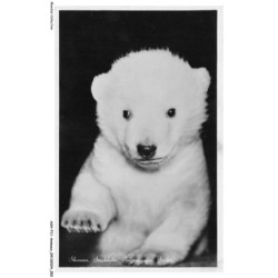ASHP11-0662-ANIMAUX - SKANSEN - STOCKHOLM