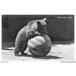 ASHP15-0963-ANIMAUX - BERNE - LA FOSSE AUX OURS - BEAR PIT