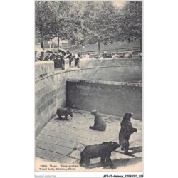 AIDP7-ANIMAUX-0591 - bern - bärengraben