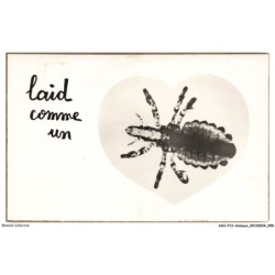 ASHP13-0817-ANIMAUX - LAID COMME UN POU