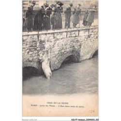 AIDP7-ANIMAUX-0590 - crue de la seine - paris - jardin des plantes - l'ours blanc conte ses peines