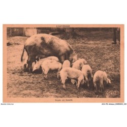 AOAP8-0619-ANIMAUX - repas en famille - cochon