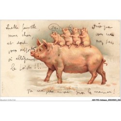 AKVP10-0755-ANIMAUX - UN COCHON PORTANT SES PETITS SUR LE DOS