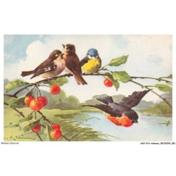 ASHP16-1026-ANIMAUX - PORTRAIT DE QUATRE PETITS OISEAUX SUR BRANCHE ET FRUIT