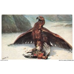 ASHP16-1032-ANIMAUX - UNE AIGLE ROYALE